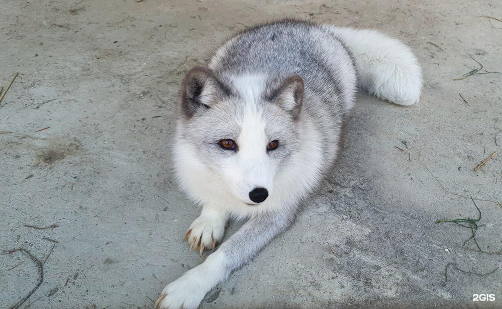 Маленькая страна - фото 46