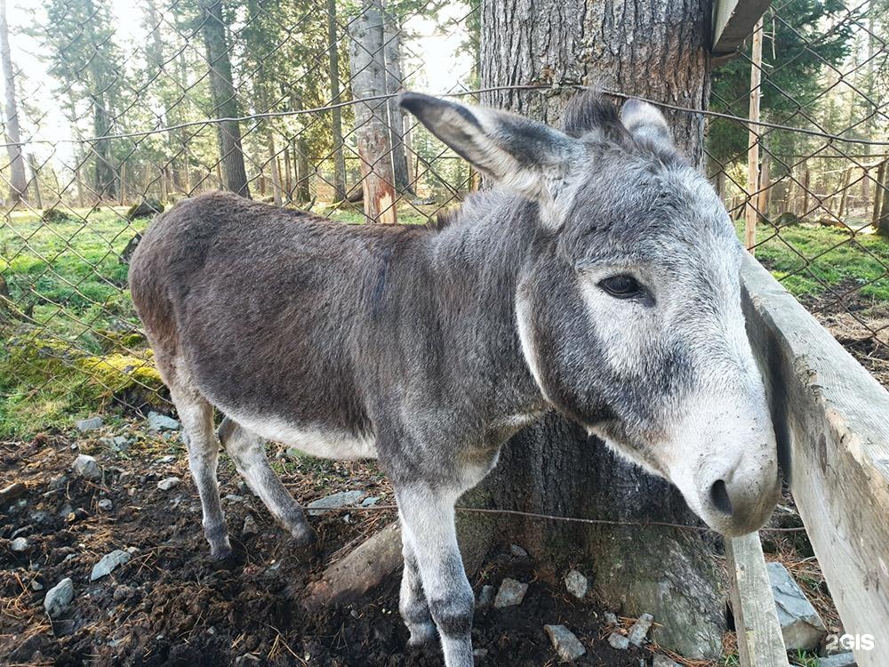 Маленькая страна - фото 55