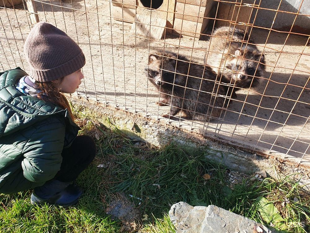 Маленькая страна - фото 73