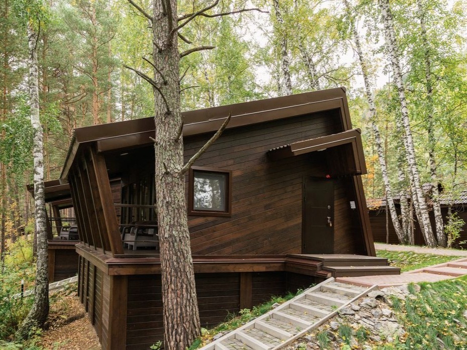 Шишка - фото 4