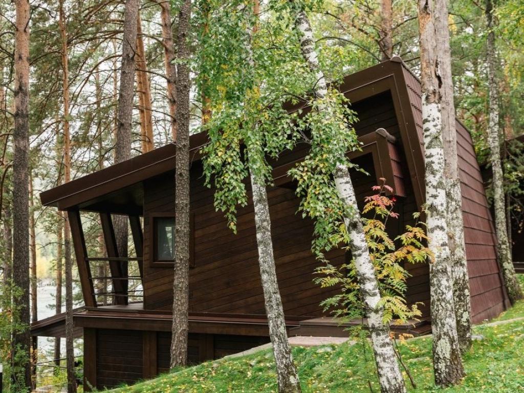 Шишка - фото 5