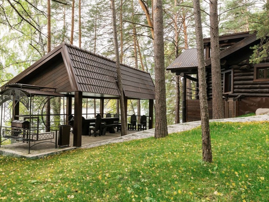 Шишка - фото 6