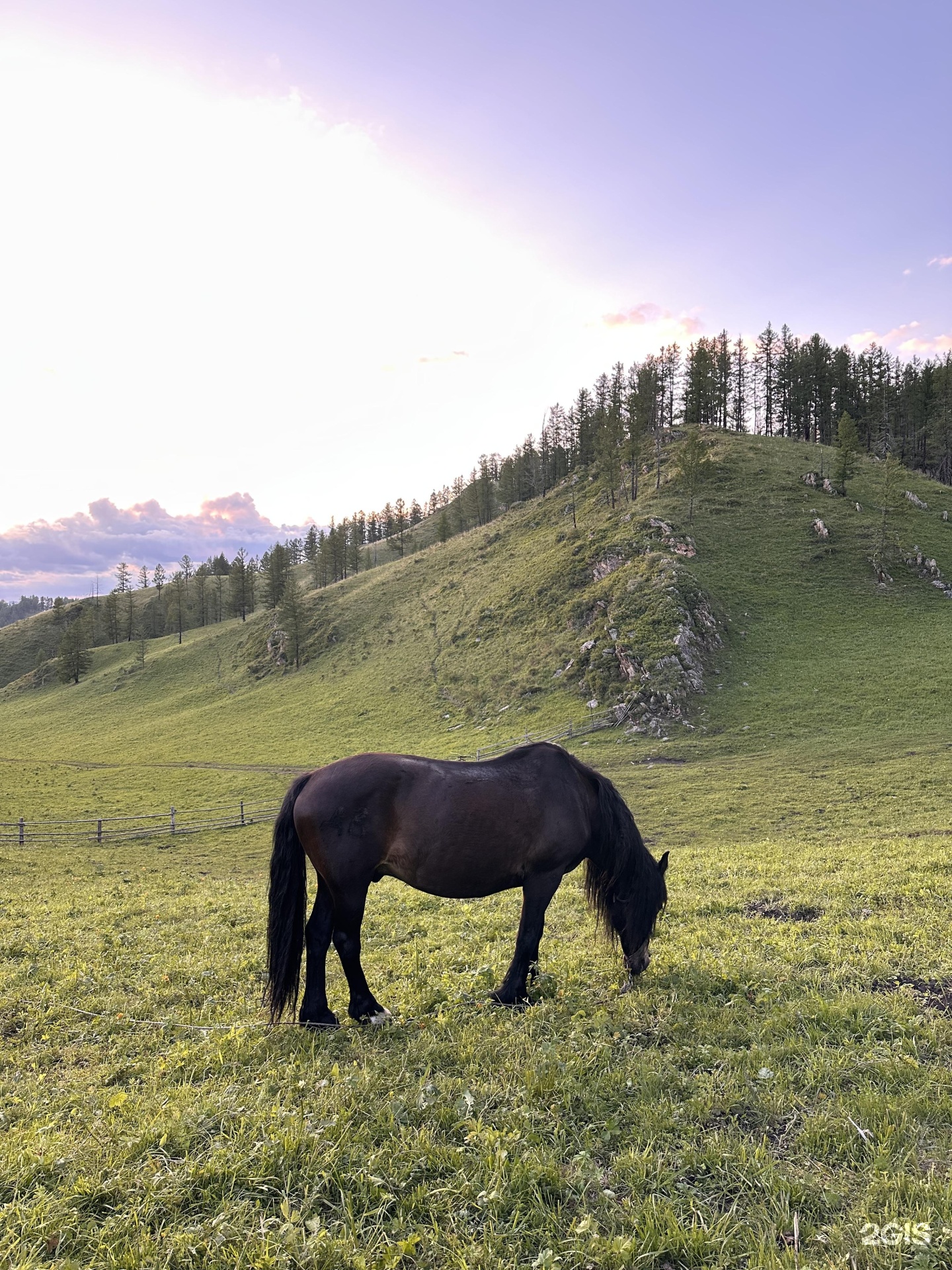 Надежда - фото 5