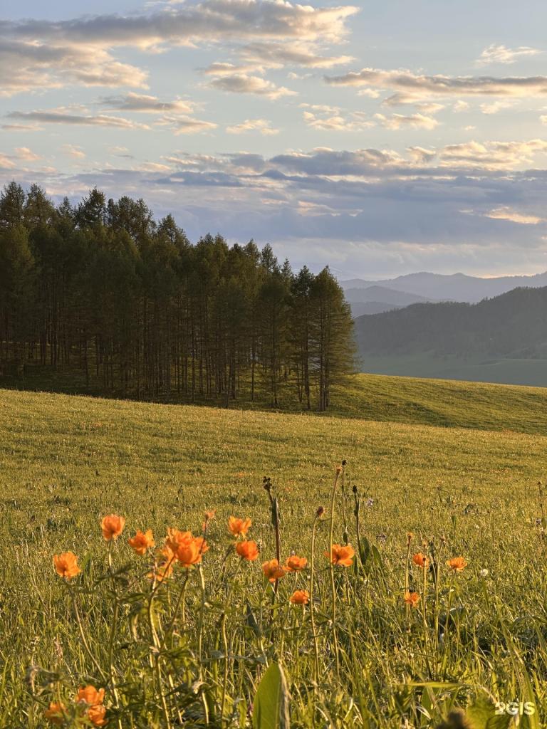 Надежда - фото 8