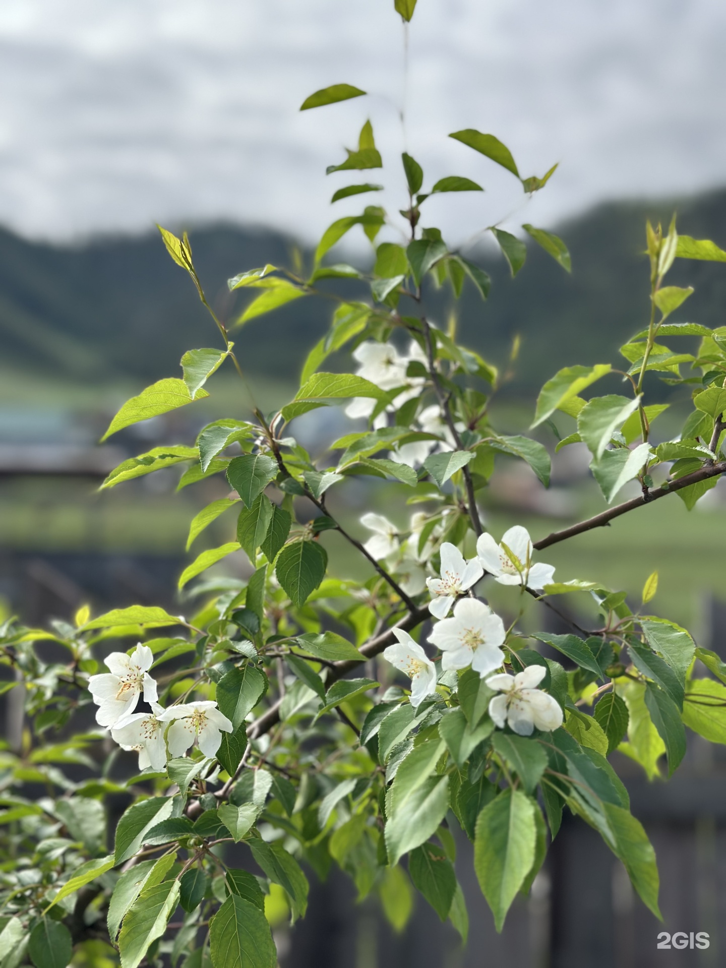 Надежда - фото 16