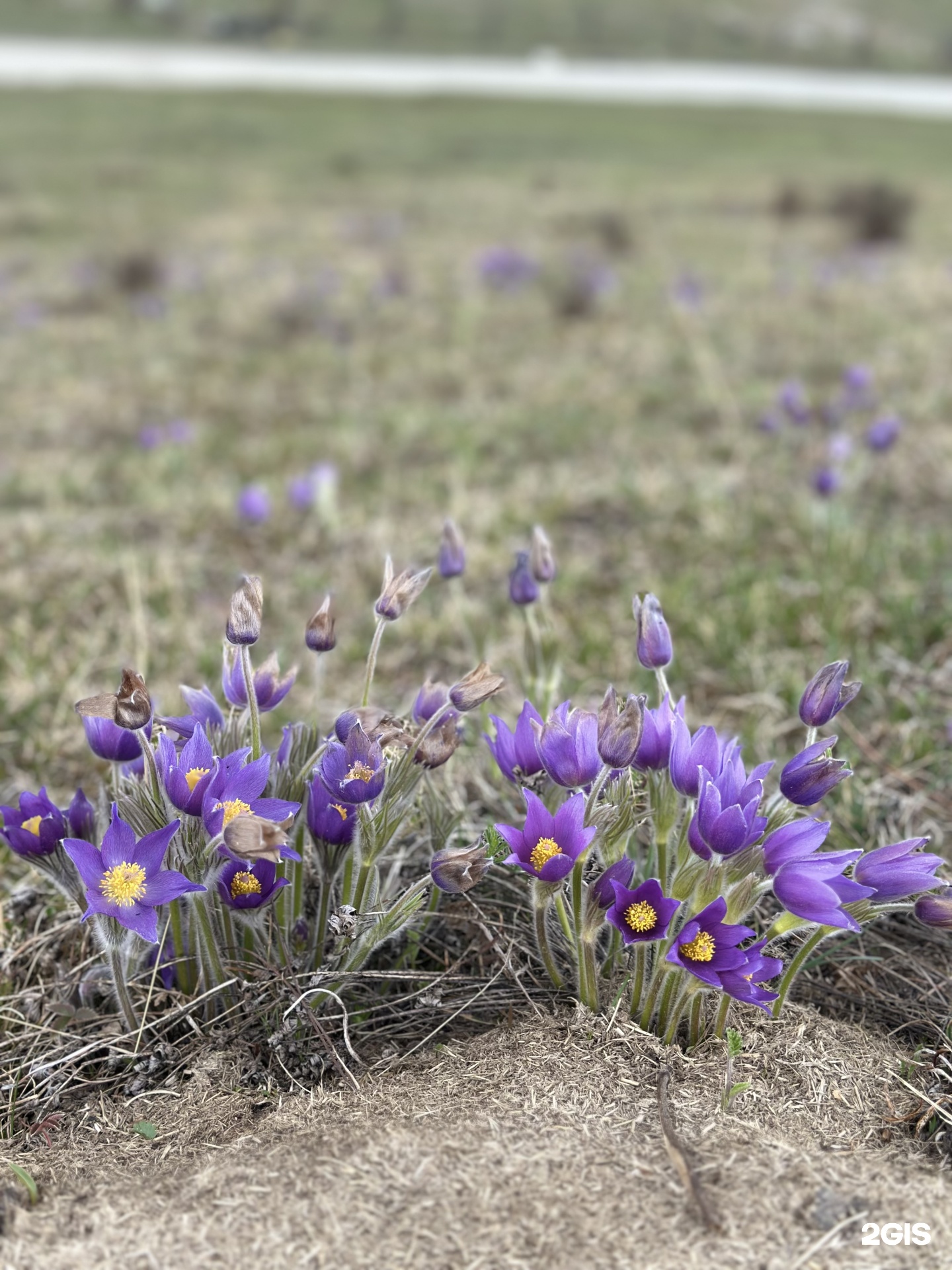 Надежда - фото 19