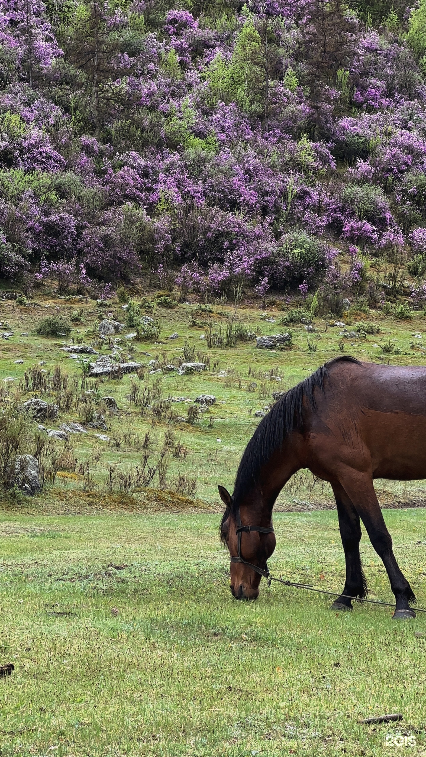 Надежда - фото 20