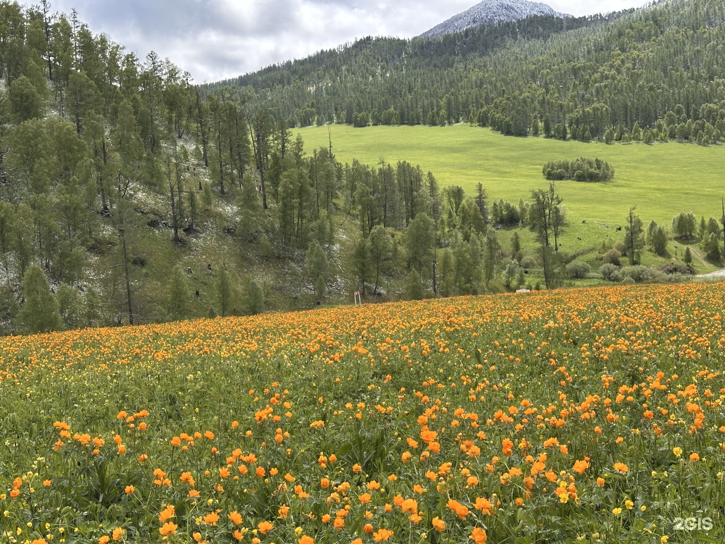 Надежда - фото 21