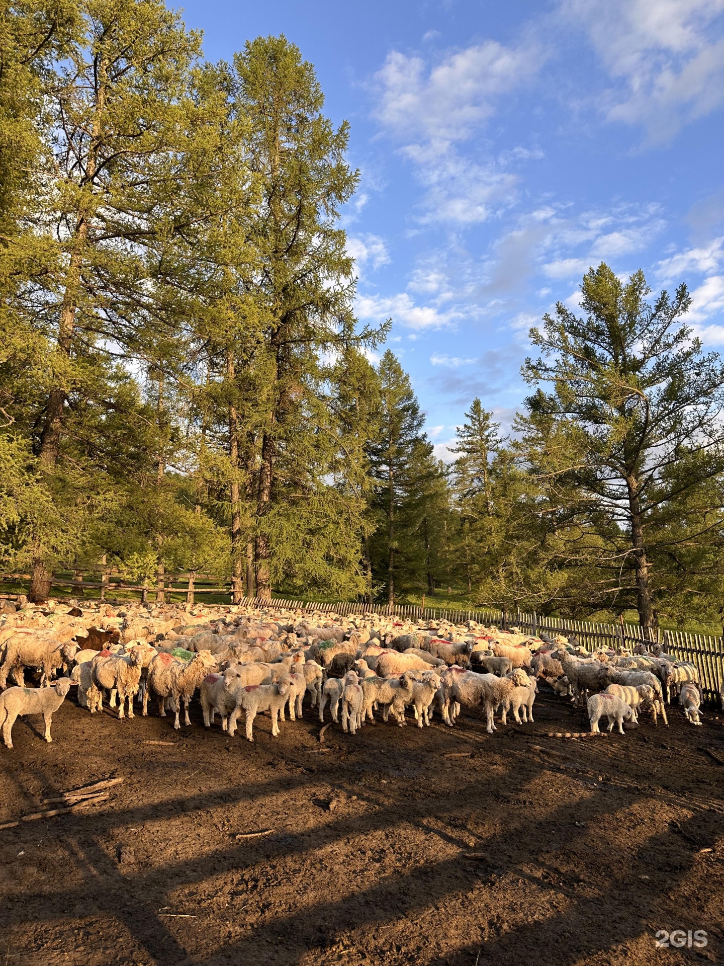 Надежда - фото 42