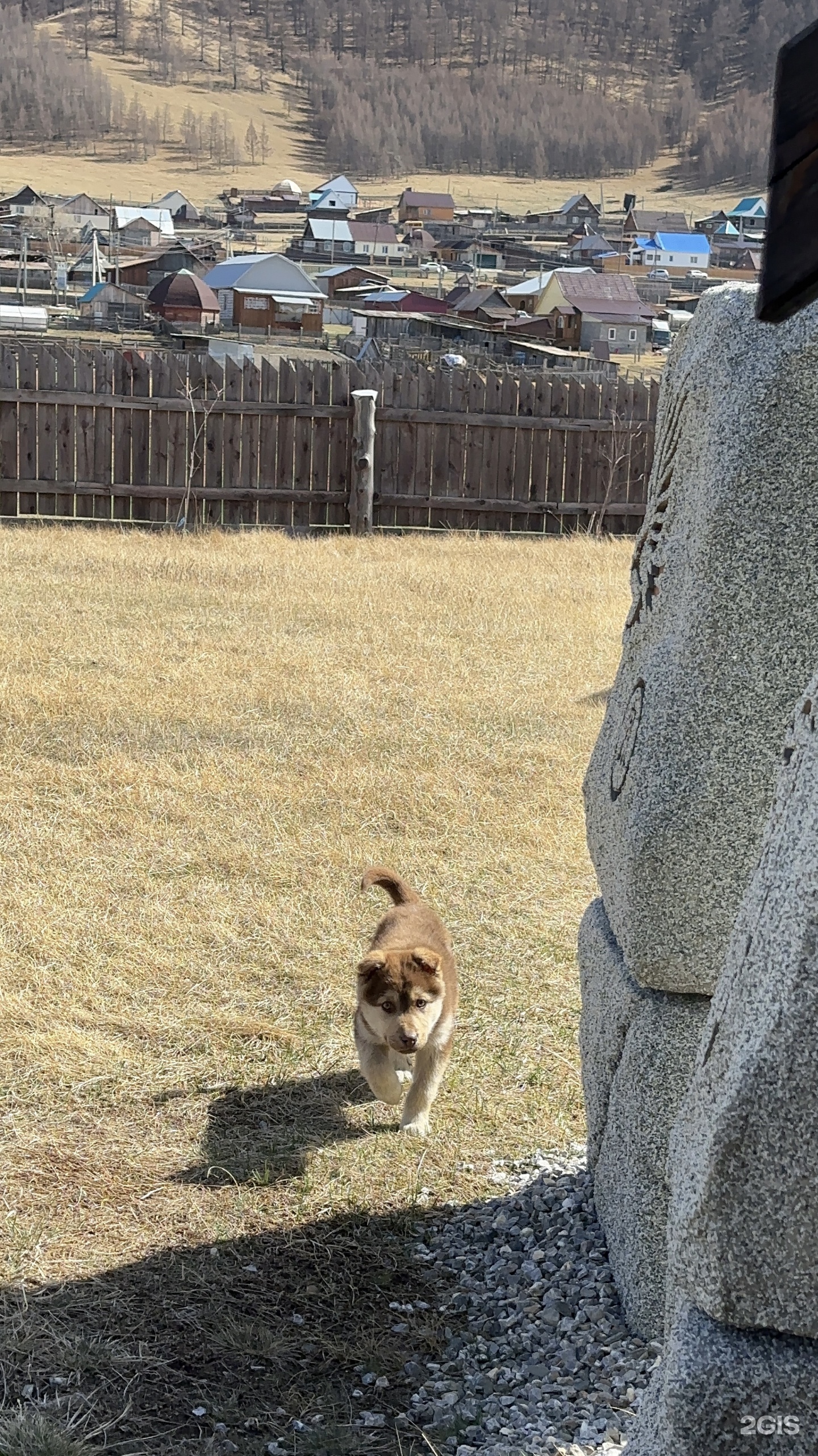 Надежда - фото 43