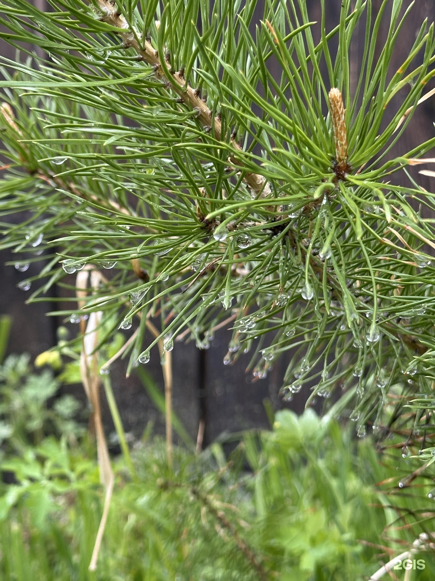 Надежда - фото 48