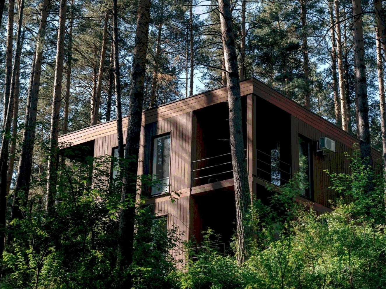 МираМирам - фото 6