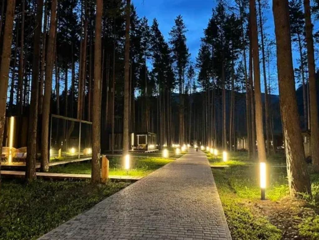 Отель Pinewood Resort & SPA - фото 4