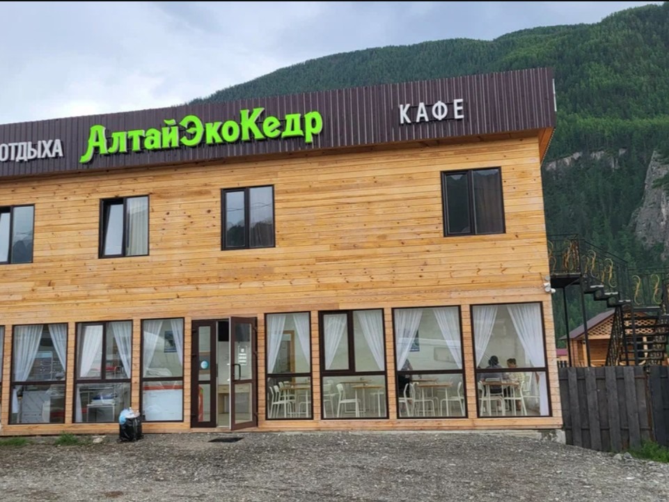 Алтайэкокедр - фото 1