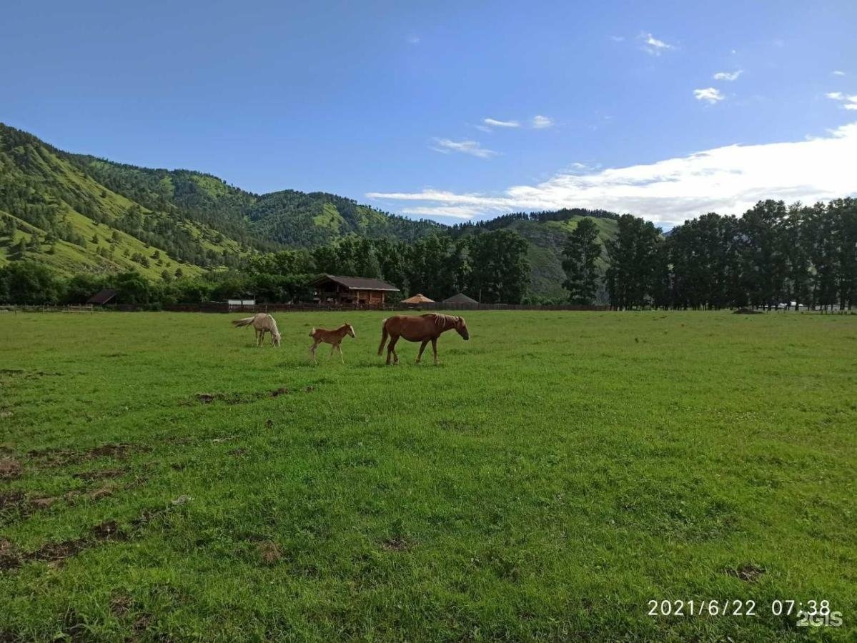 Карма - фото 8