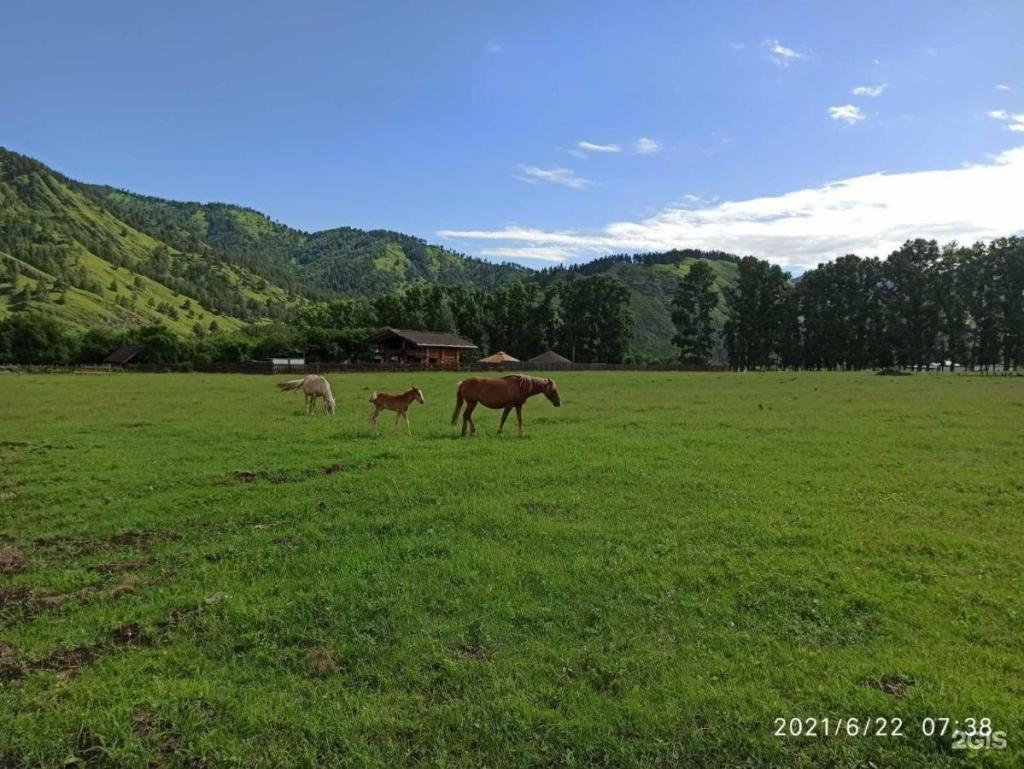 Карма - фото 8