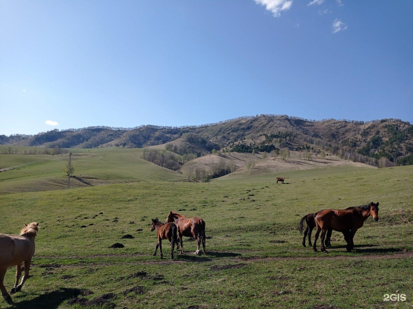 Карма - фото 32