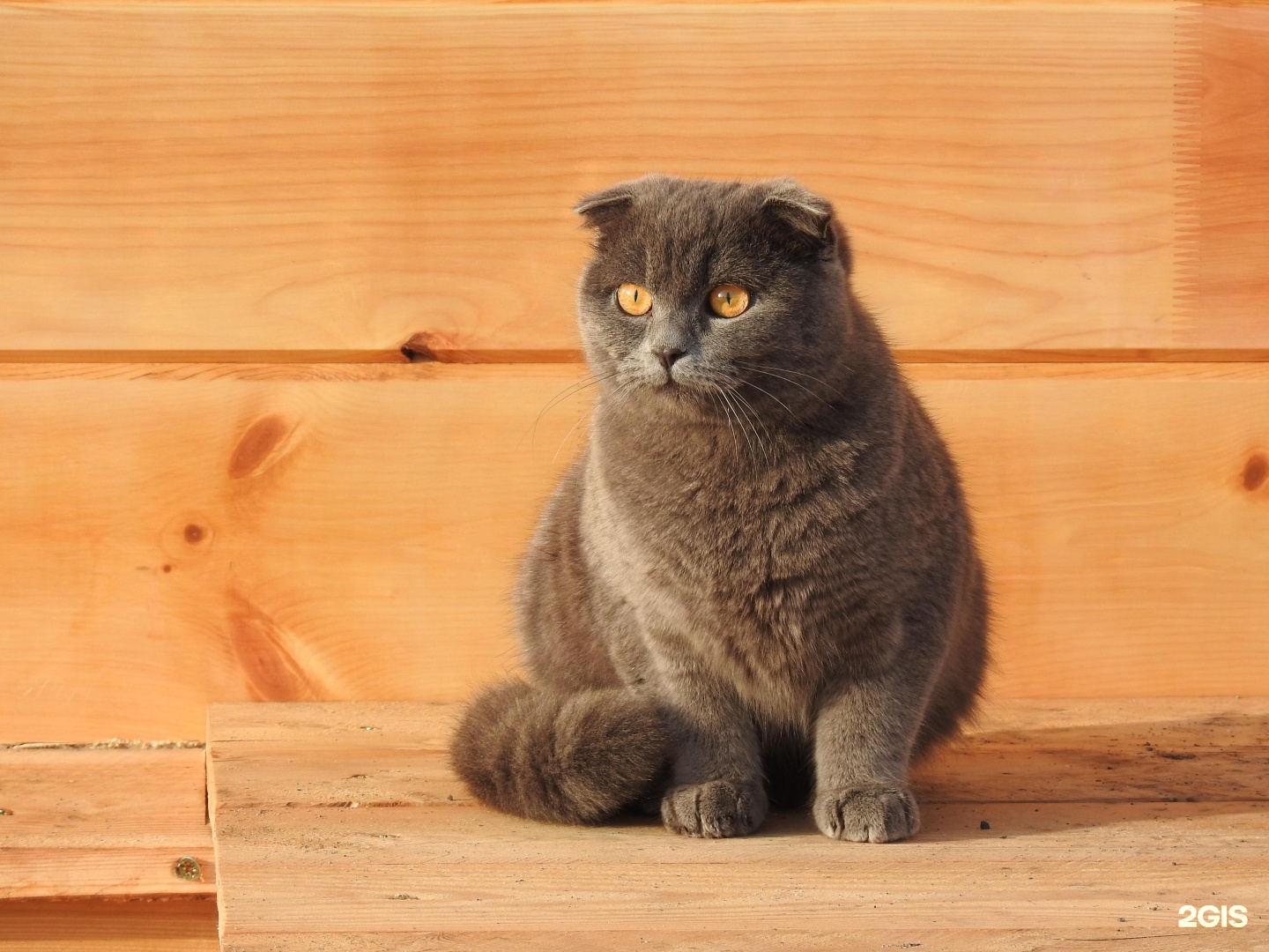 Карма - фото 35