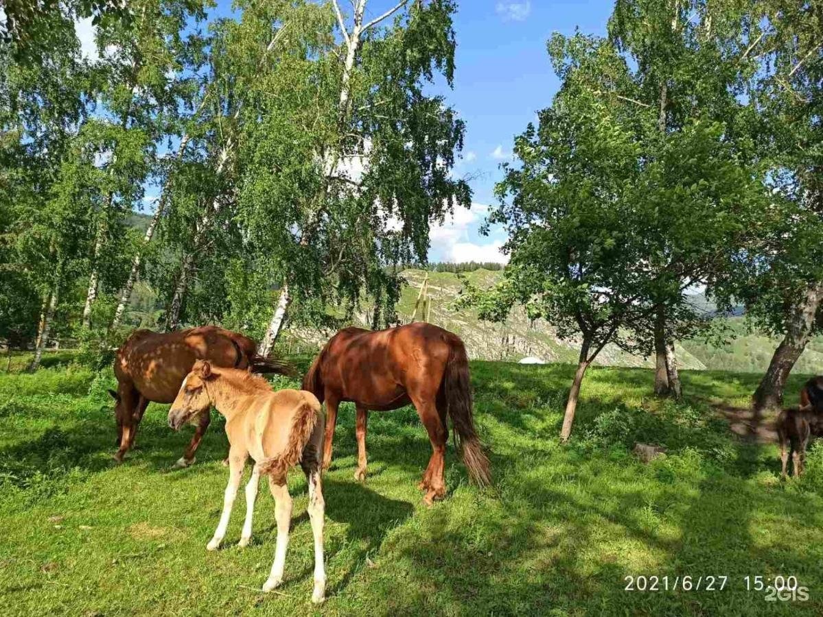 Карма - фото 45