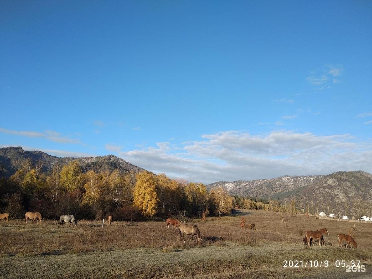 Карма - фото 57