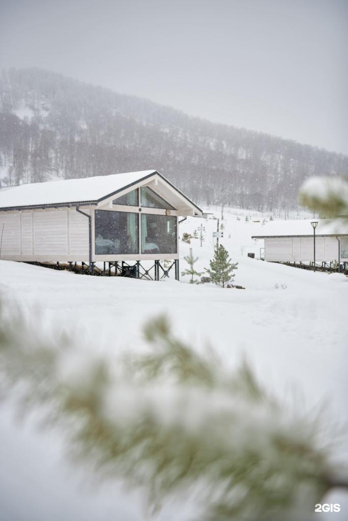 Маральник Altai Palace - фото 8