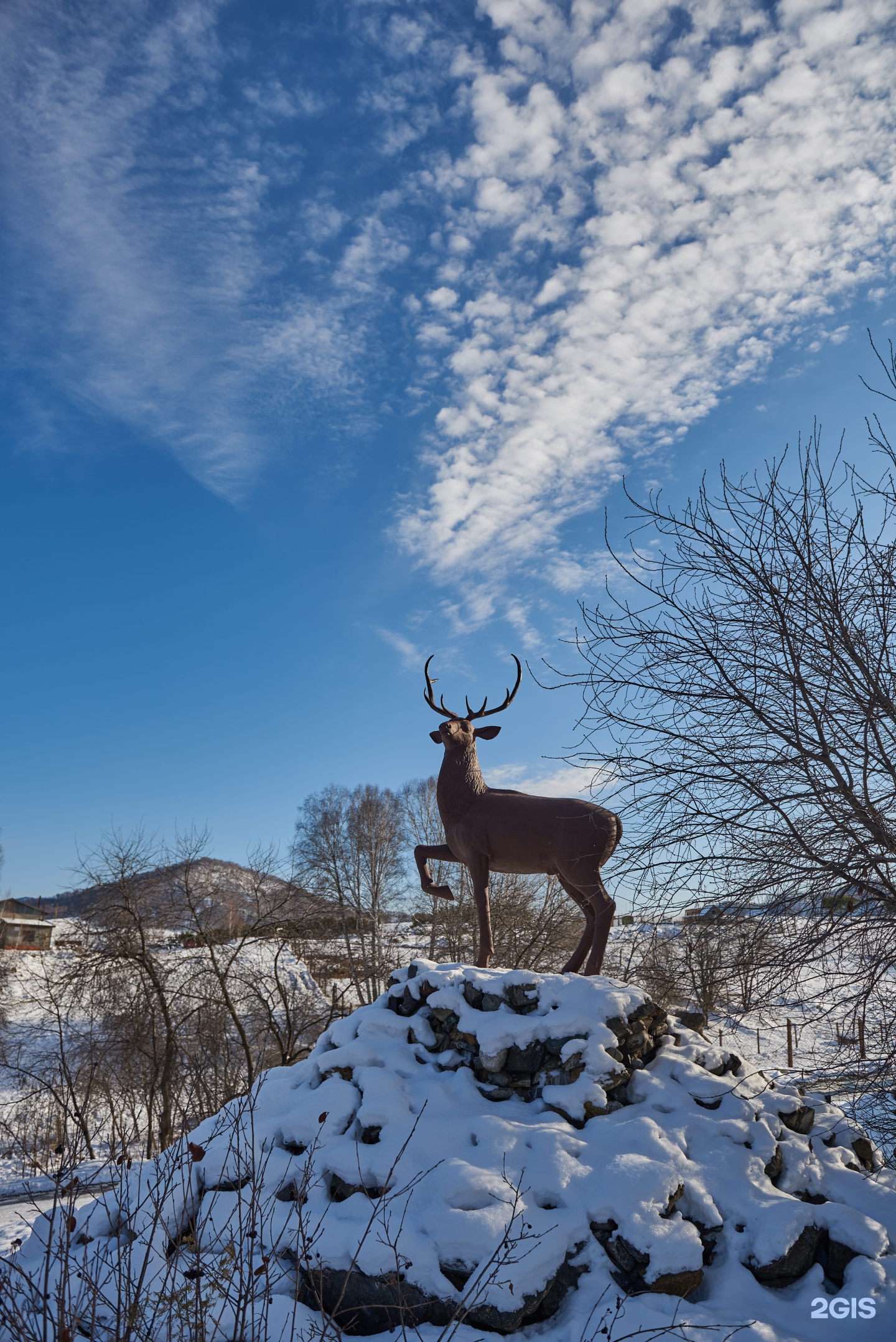 Маральник Altai Palace - фото 14
