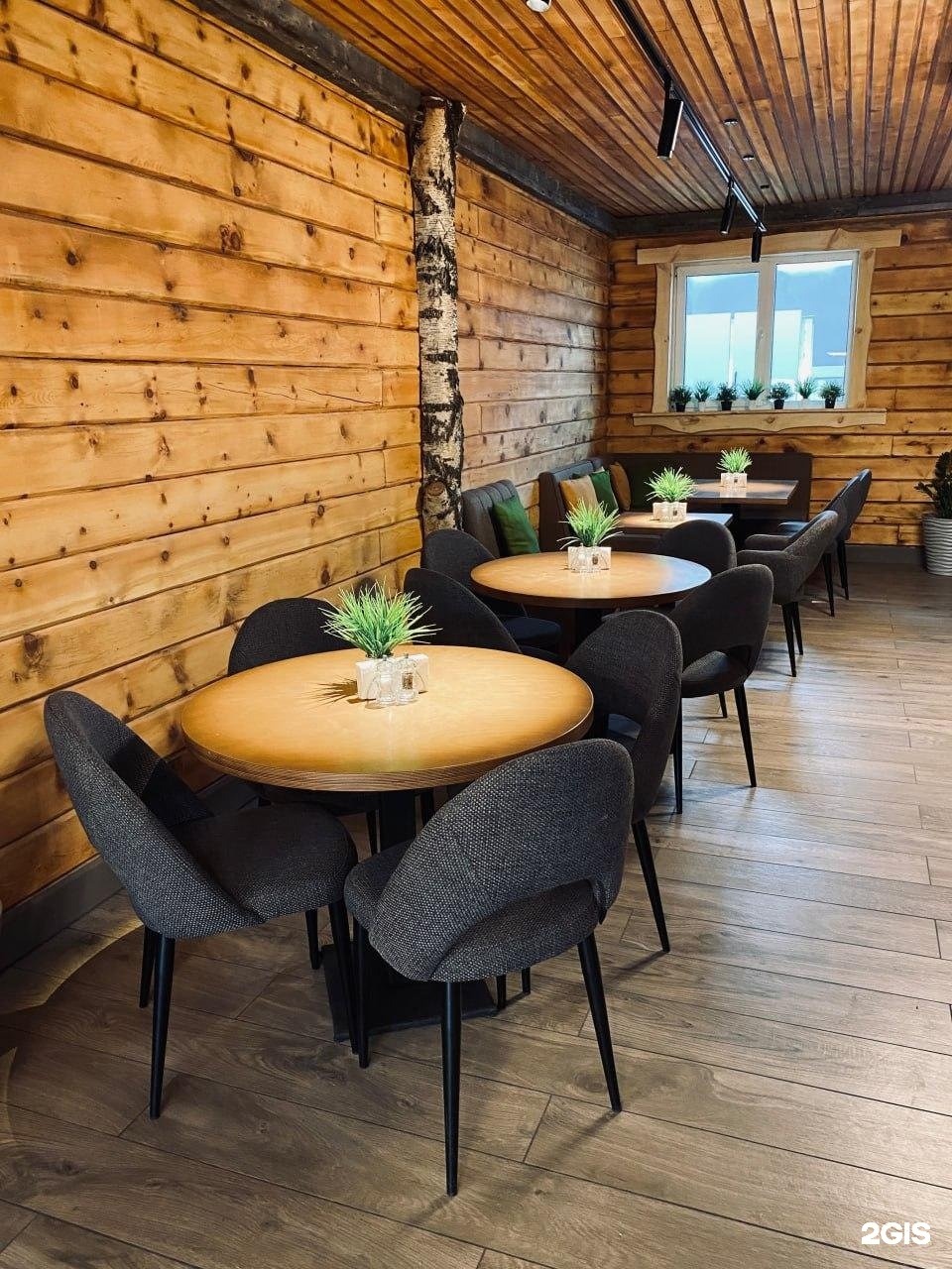 Маральник Altai Palace - фото 83