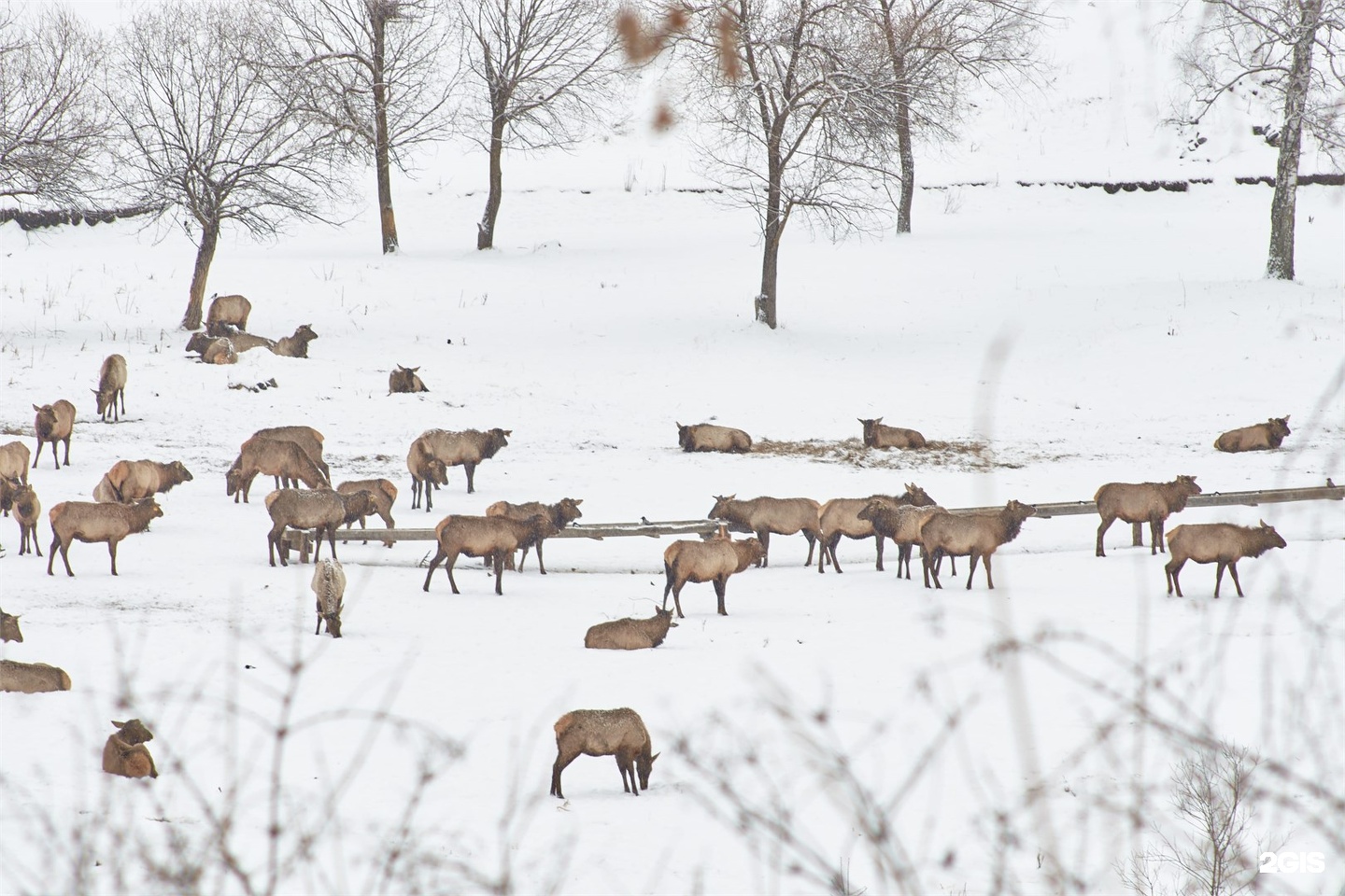 Шале c двумя раздельными кроватями 1-я линия - фото 5