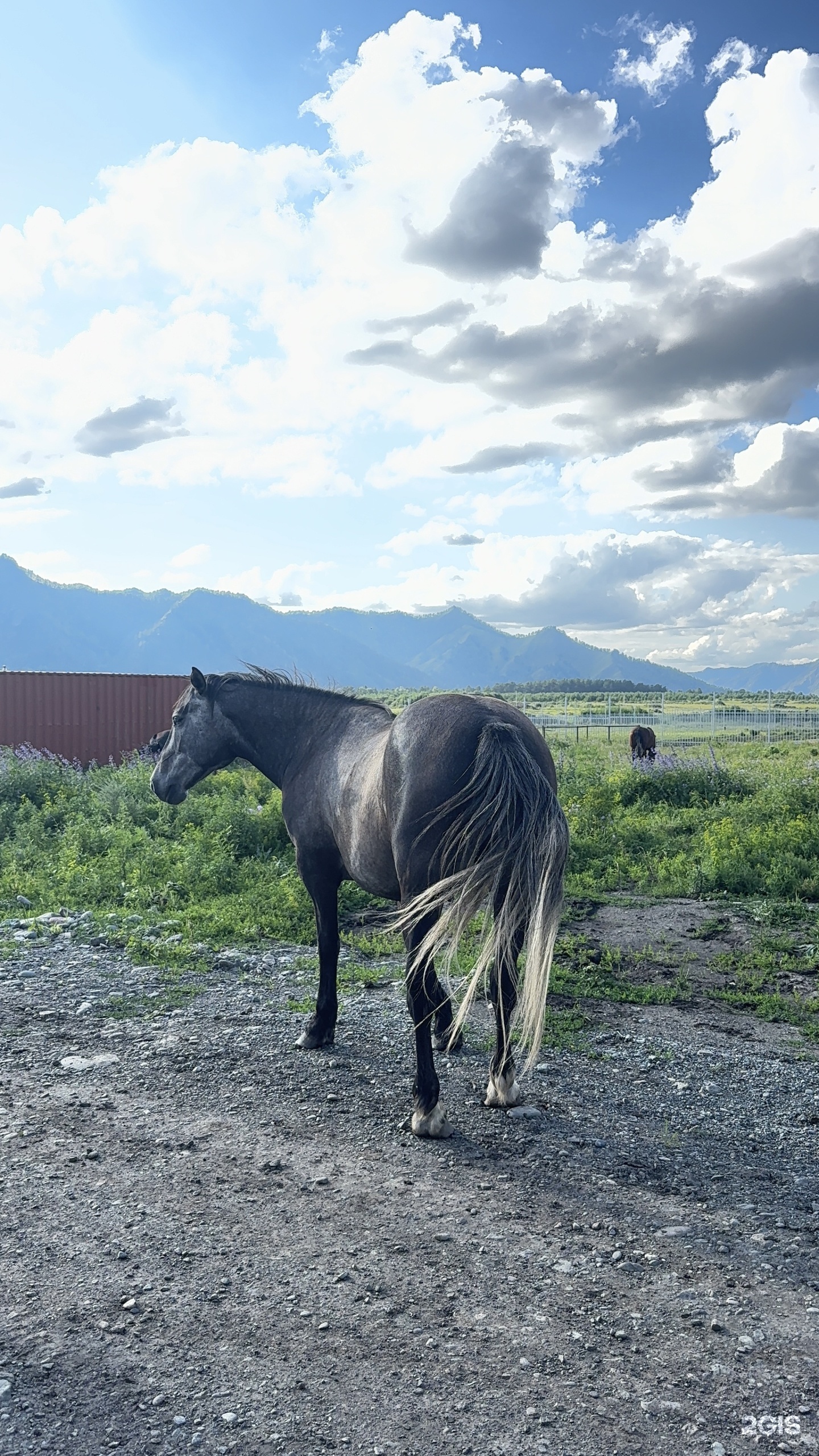 Kislorod - фото 46