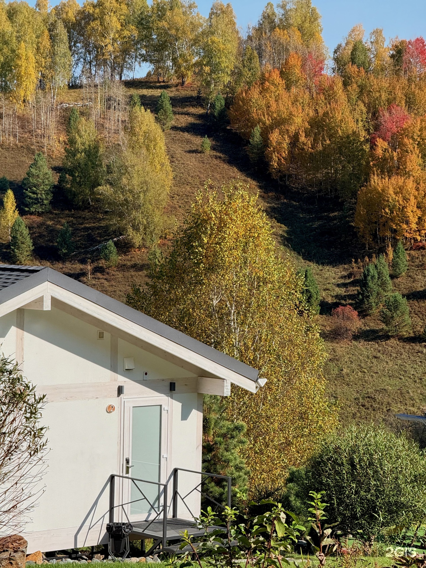 Алтай Пэлас - фото 31