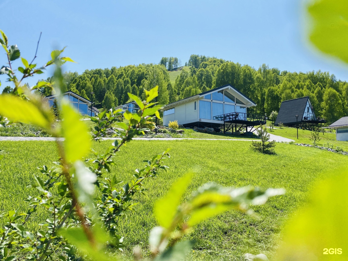 Алтай Пэлас - фото 35