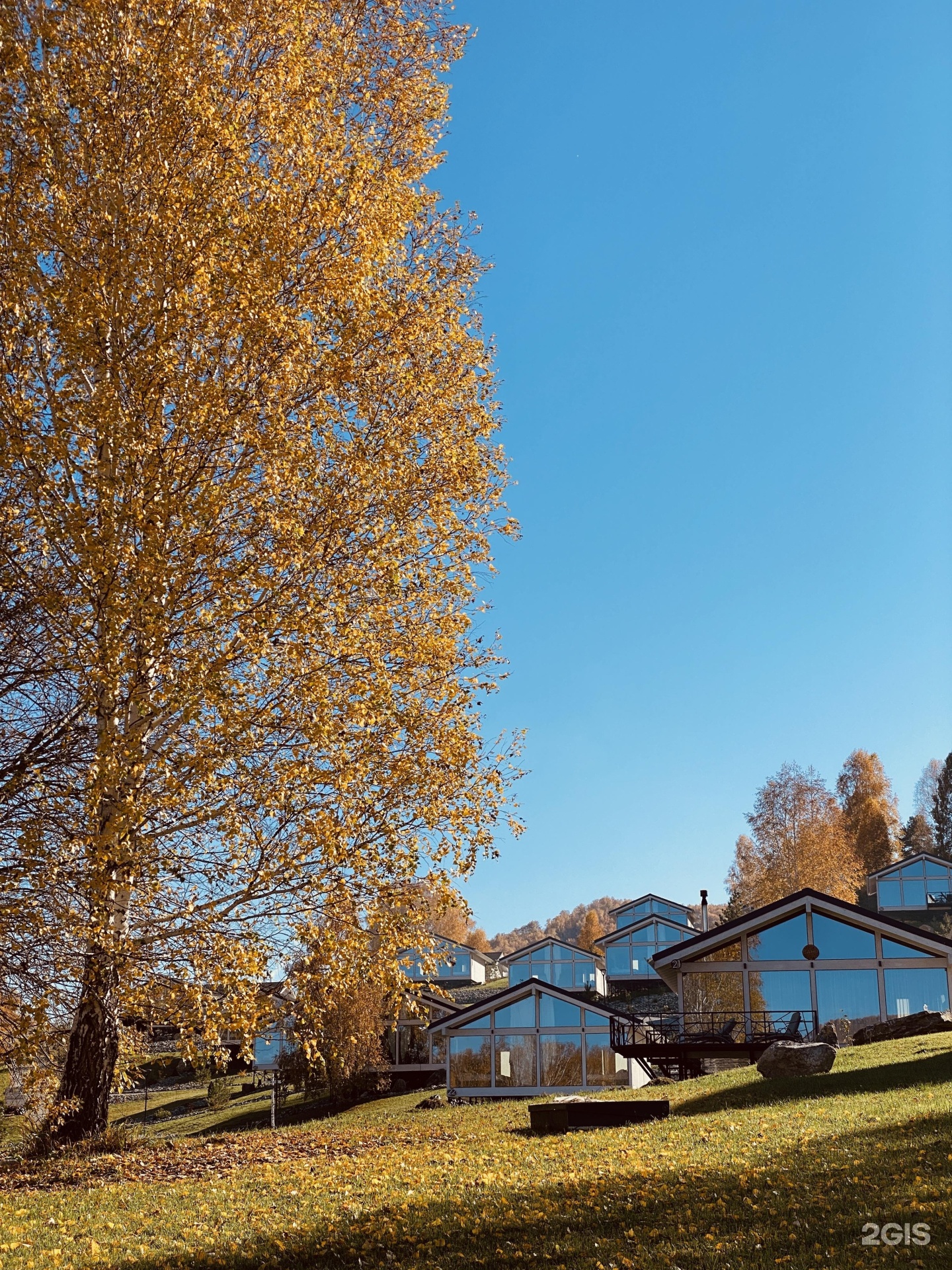 Алтай Пэлас - фото 50