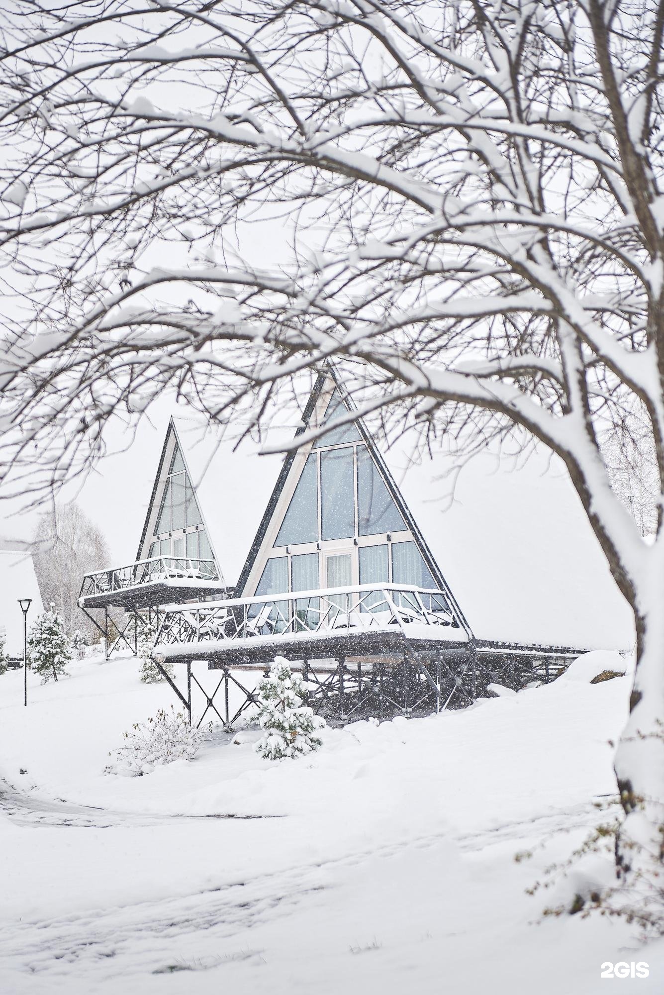 Алтай Пэлас - фото 52