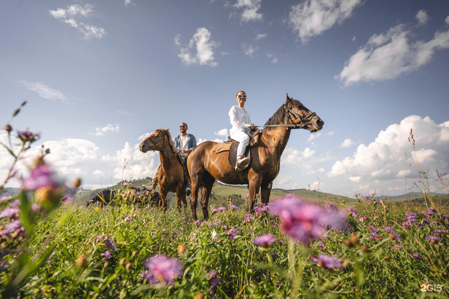 Алтай Пэлас - фото 69