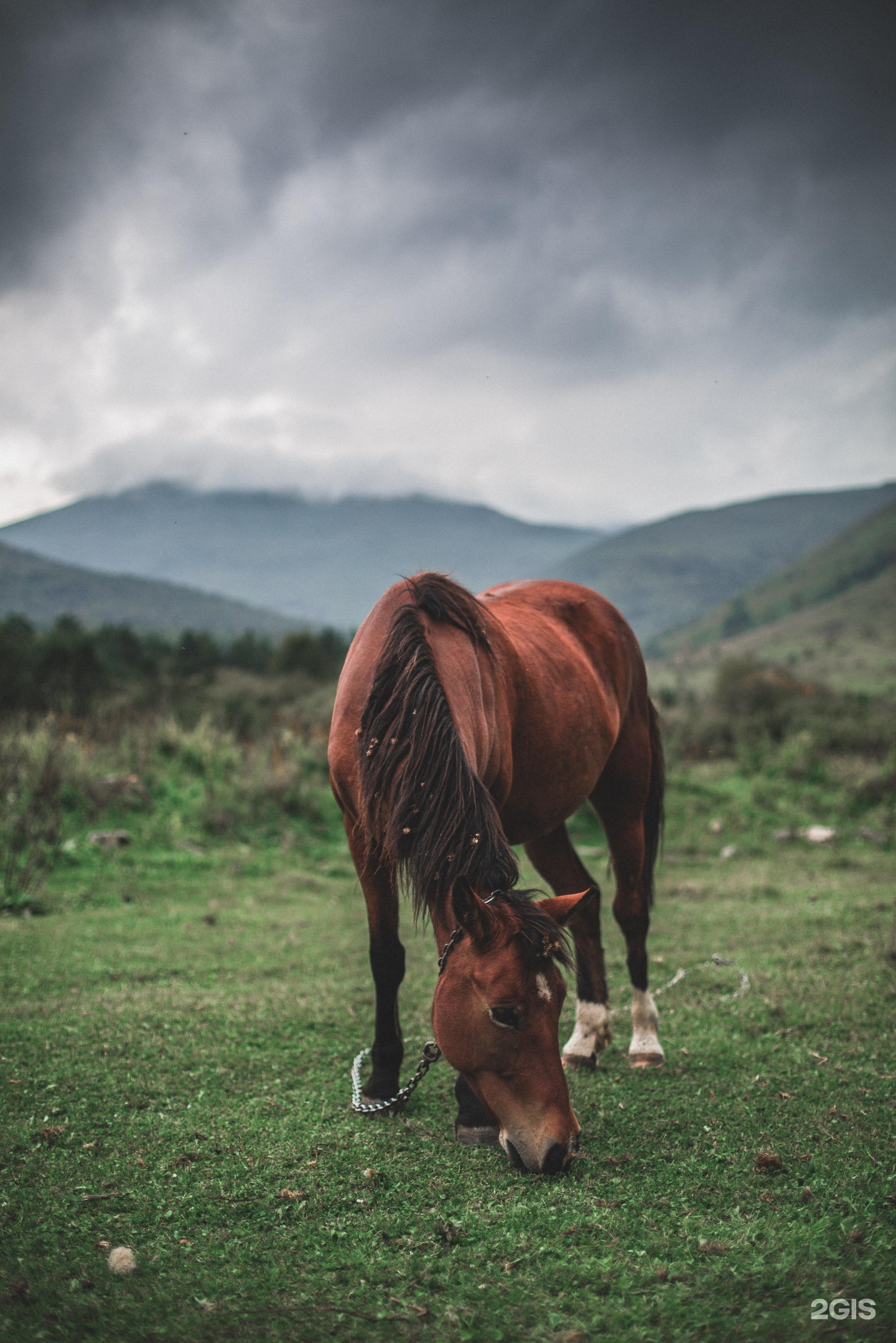 Алтай Пэлас - фото 80