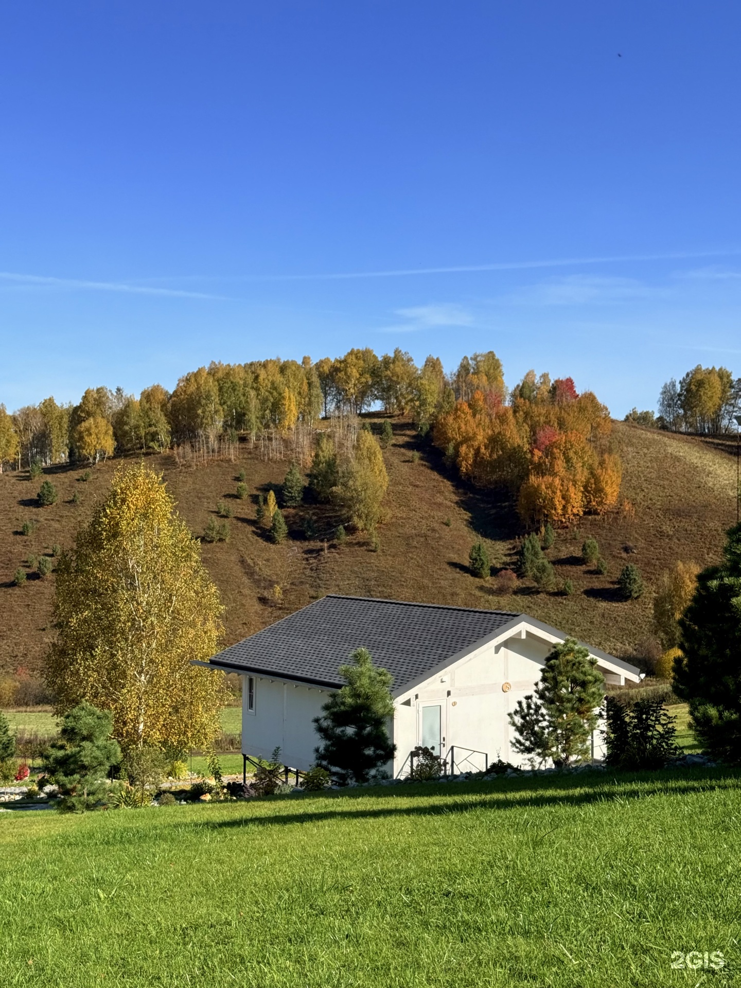 Алтай Пэлас - фото 133