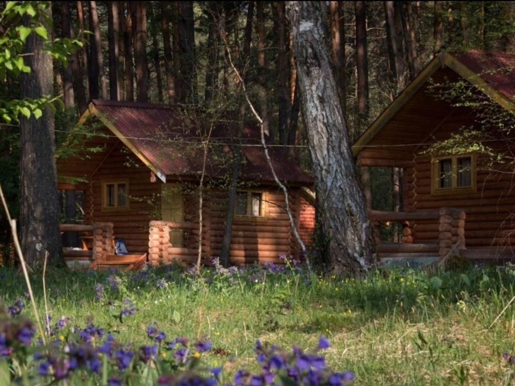 База отдыха "ТОПЛЕС" - фото 3