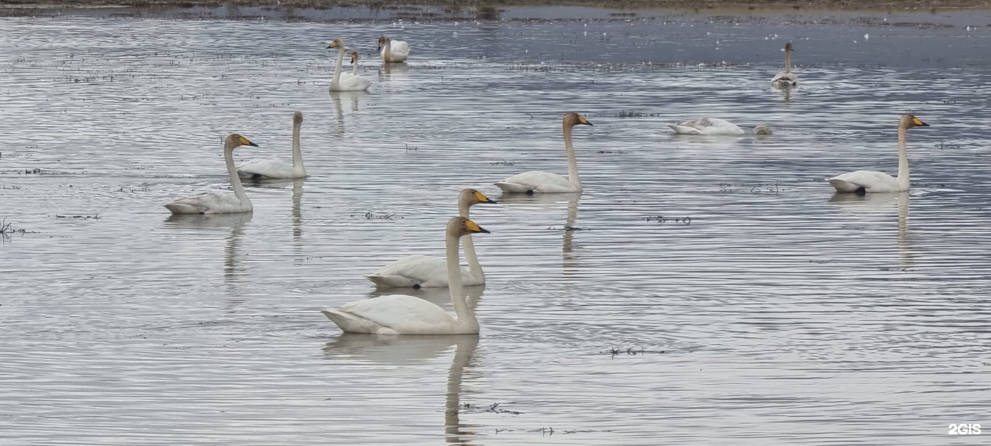 Озеро - фото 14