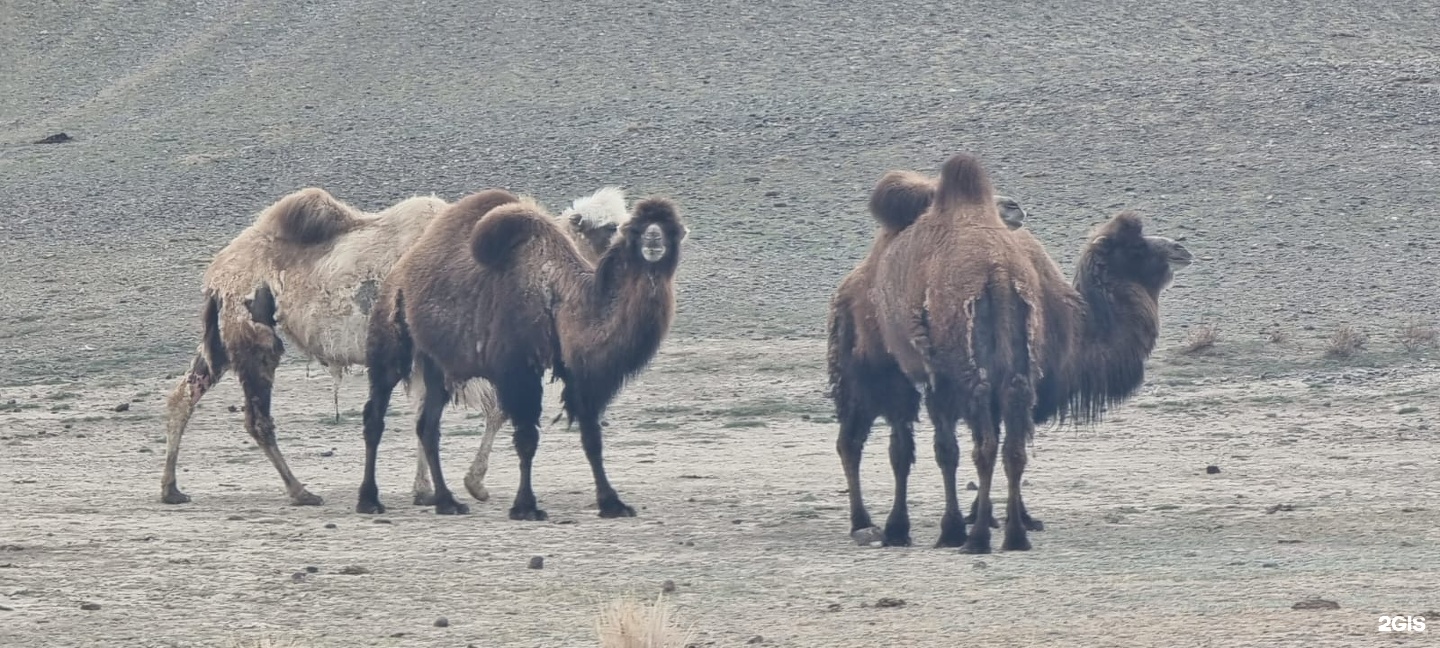 Озеро - фото 25