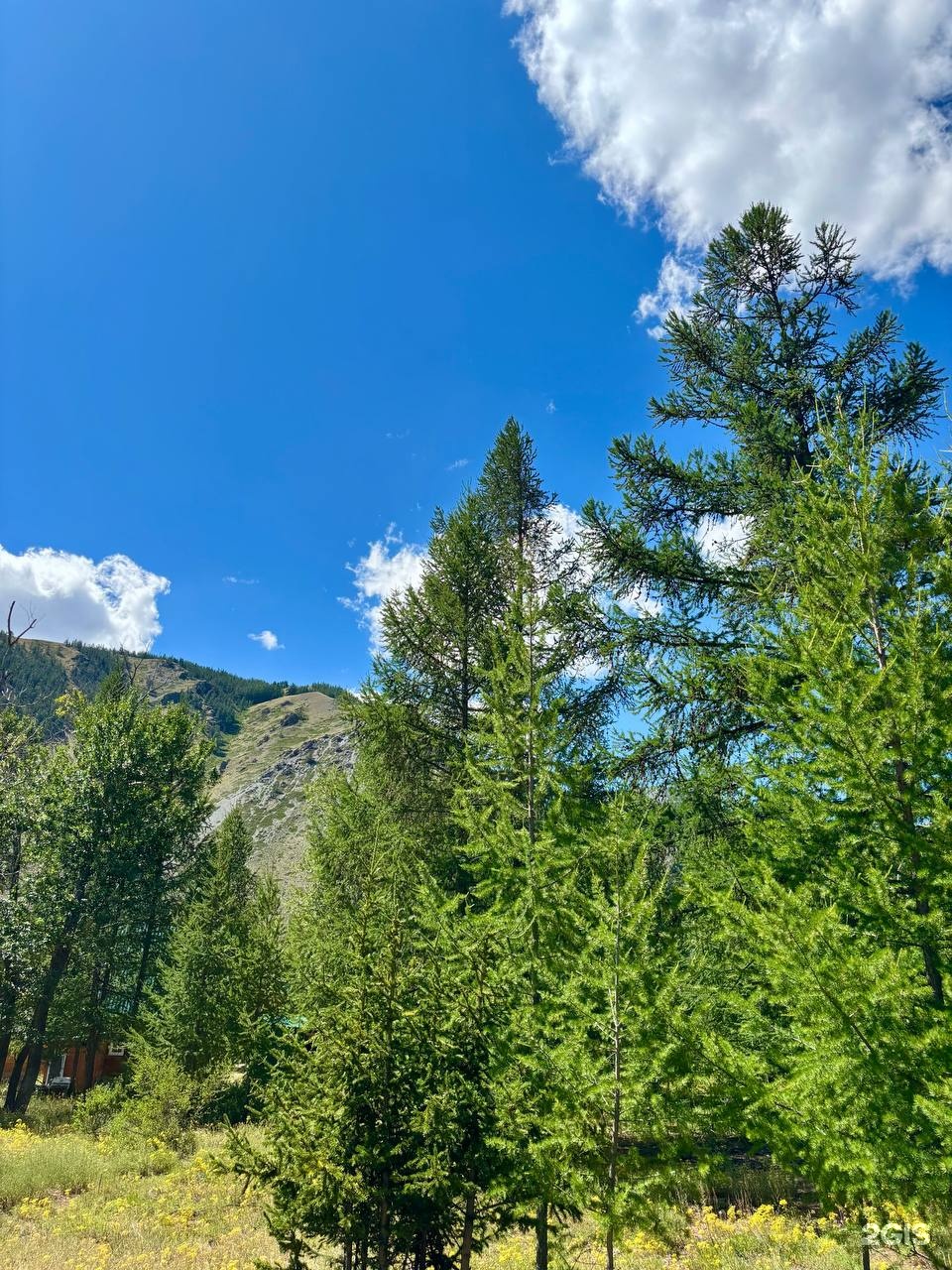 Софийская поляна - фото 18