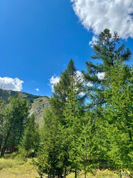 Двухместный домик - фото 14