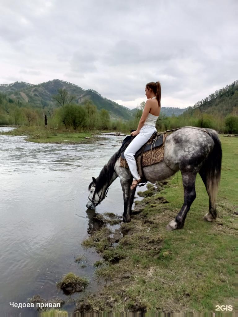 Чедоев Привал - фото 5