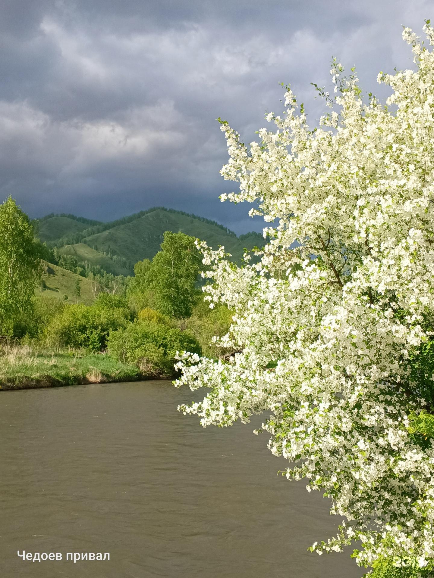 Чедоев Привал - фото 11