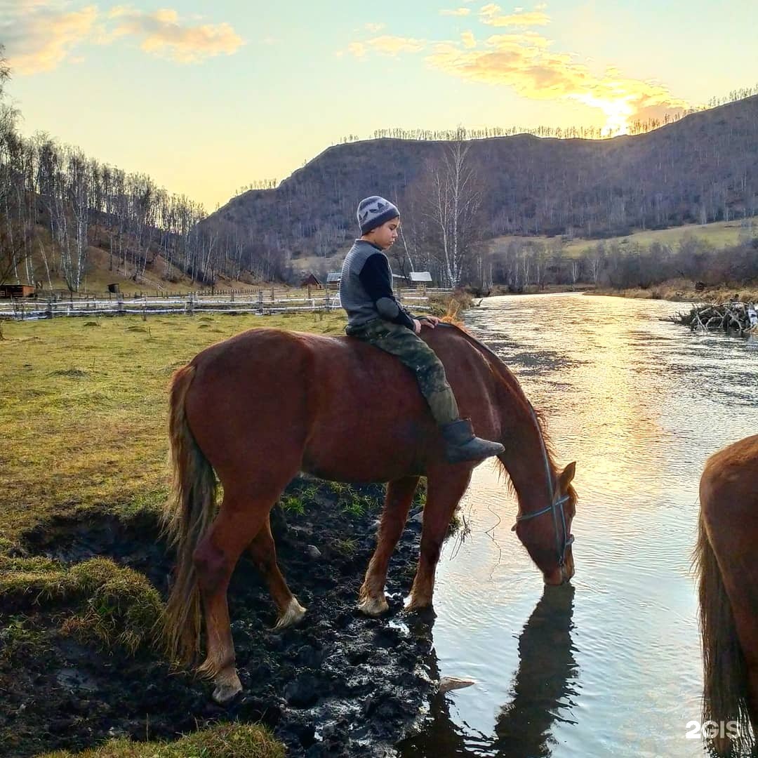 Чедоев Привал - фото 26