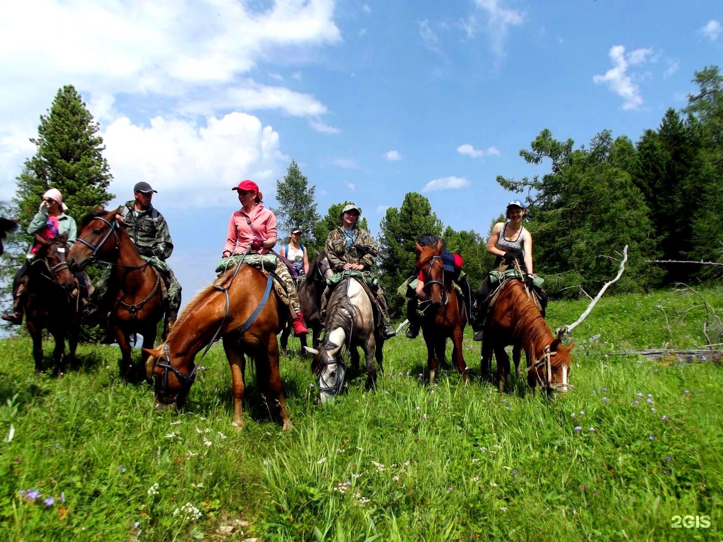 Чедоев Привал - фото 32