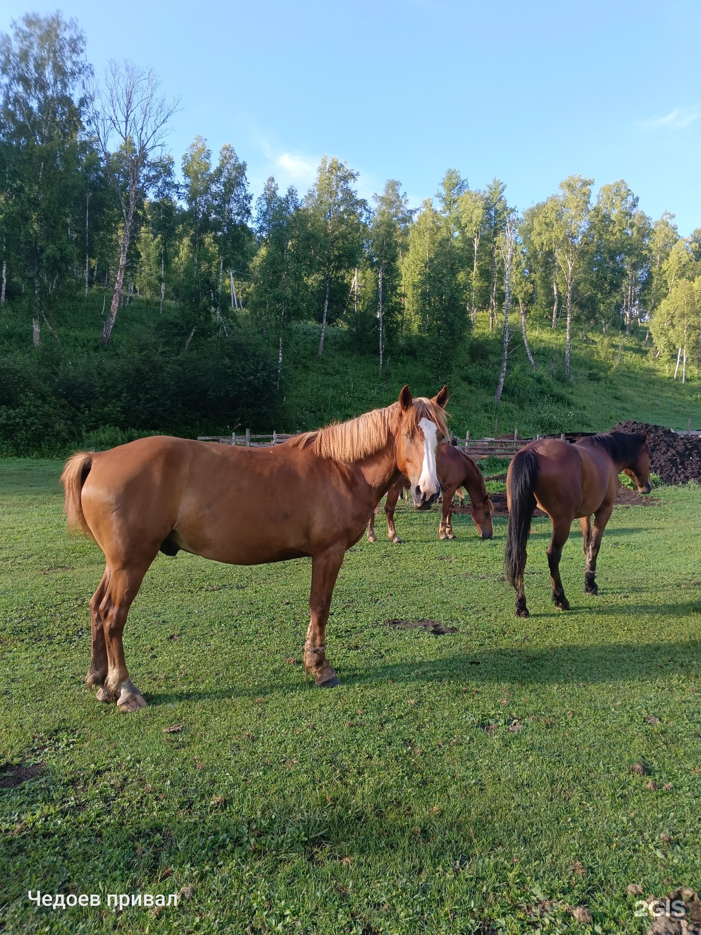 Чедоев Привал - фото 33