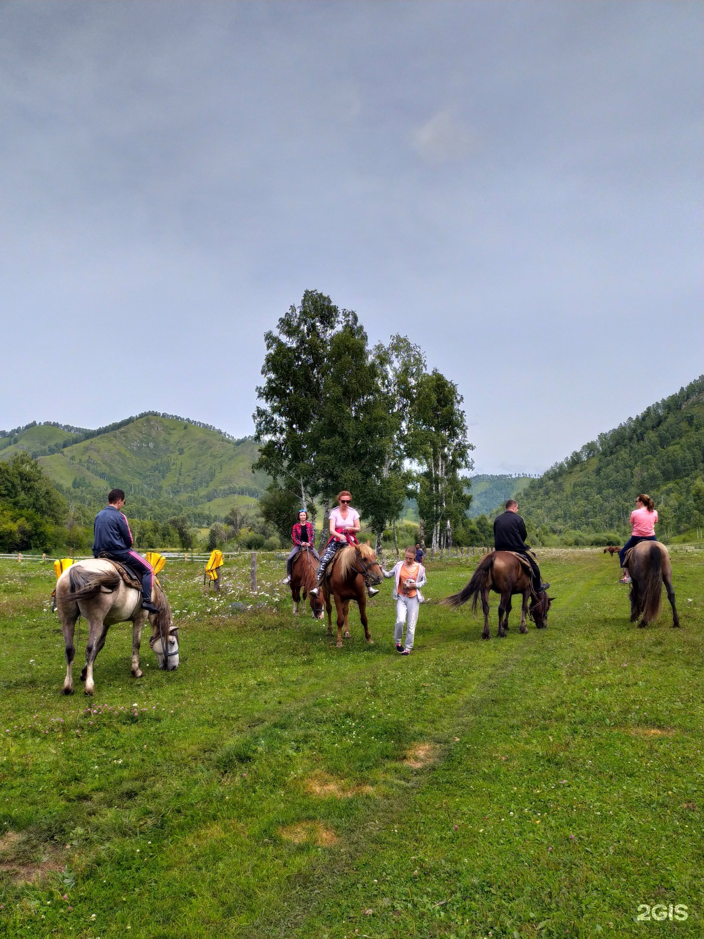 Чедоев Привал - фото 35