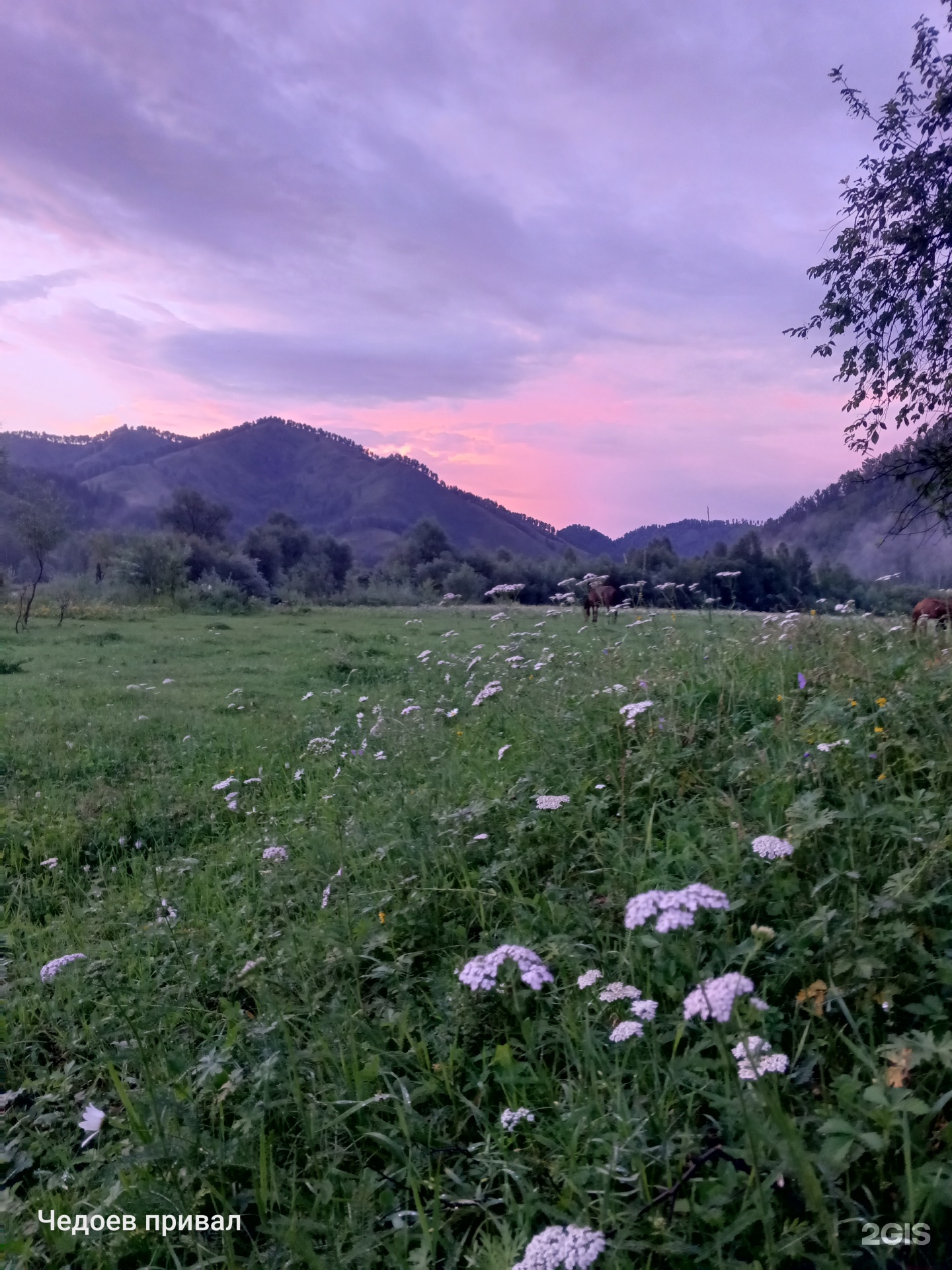 Чедоев Привал - фото 38