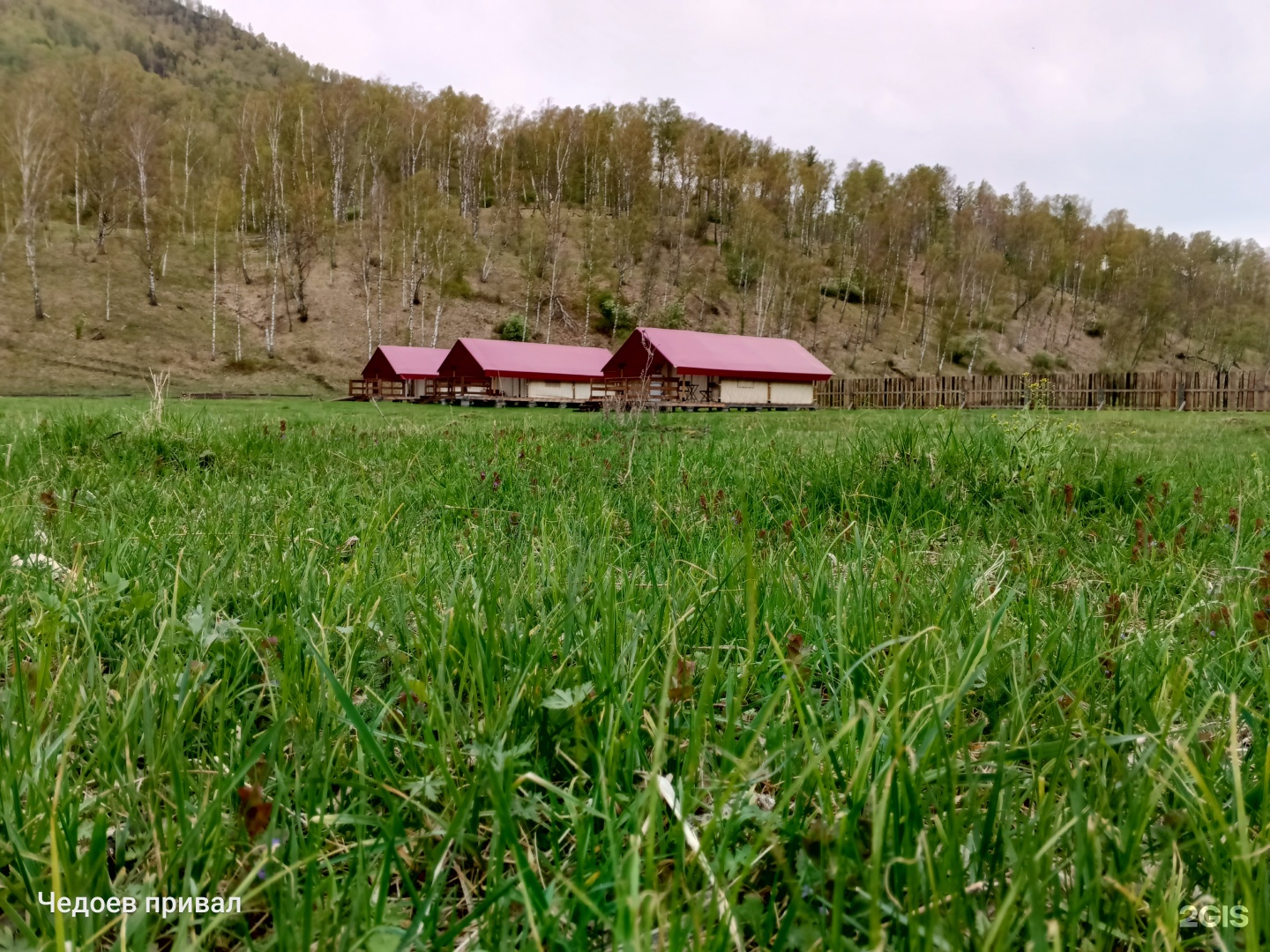 Чедоев Привал - фото 42