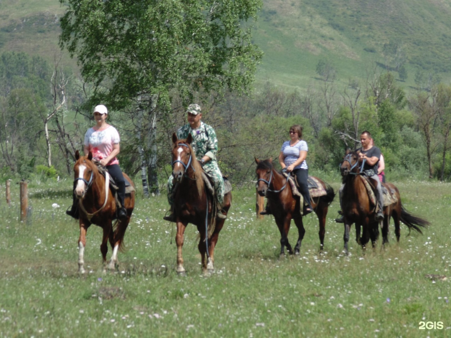 Чедоев Привал - фото 46